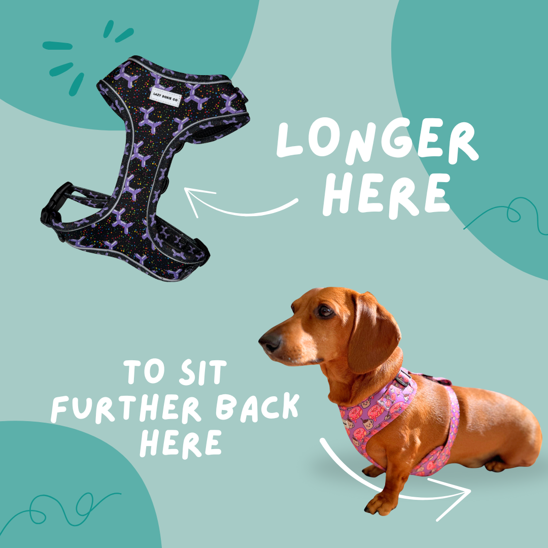 Harnesses - Lazy Doxie Co