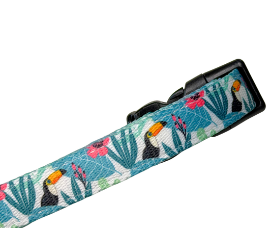 Dachshund Collar - 'Doxiecana'