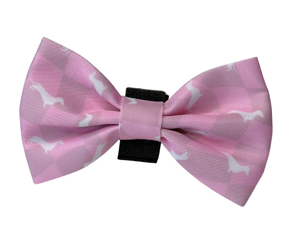 Dachshund Bows - 'Pinky Pupwalk'