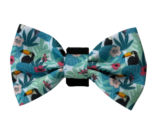 Dachshund Bows - 'Doxiecana'