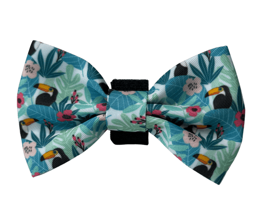 Dachshund Bows - 'Doxiecana'