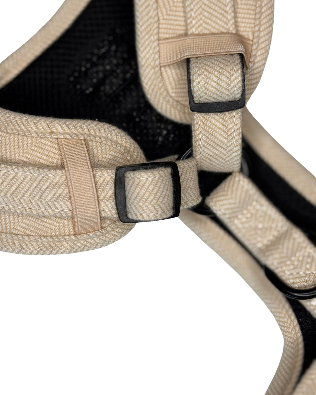 Harness - Bark de Le Taco