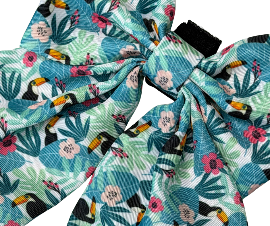 Dachshund Bows - 'Doxiecana'