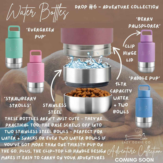 Multifunction Water Bottle - 'Evergreen Pup'