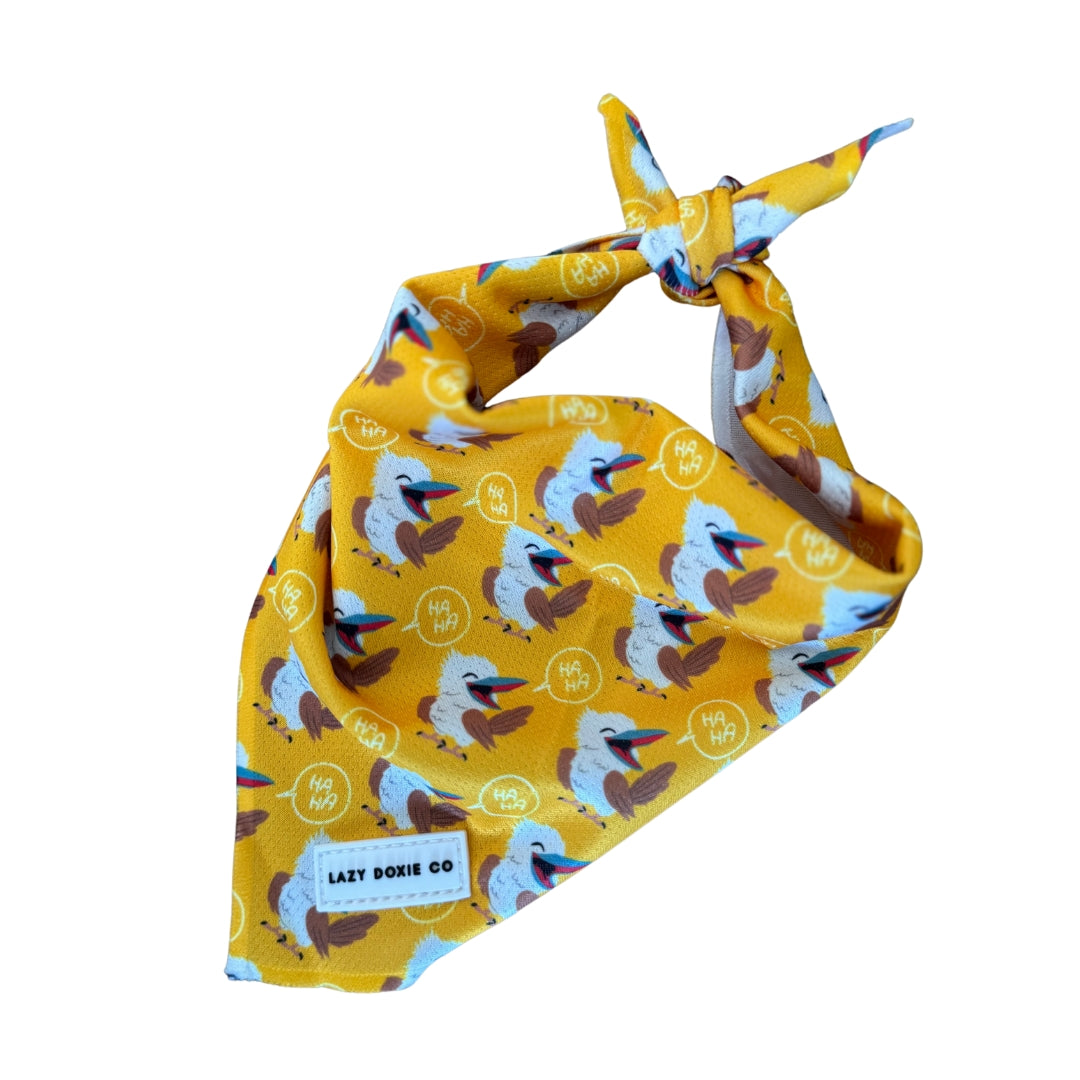 Dress to Drool Bundle - Snagaburra - Lazy Doxie Co