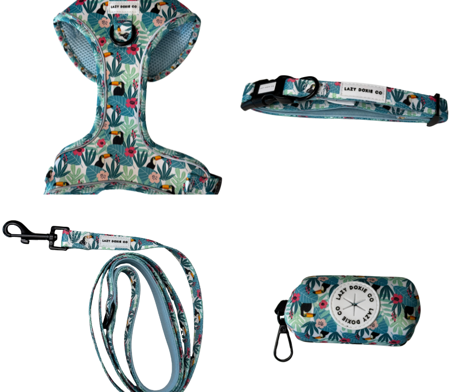 Snag + Go Bundle - Doxiecana