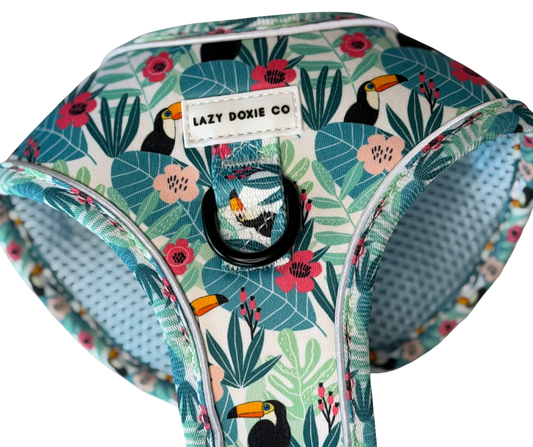 Dachshund Harness - Doxiecana