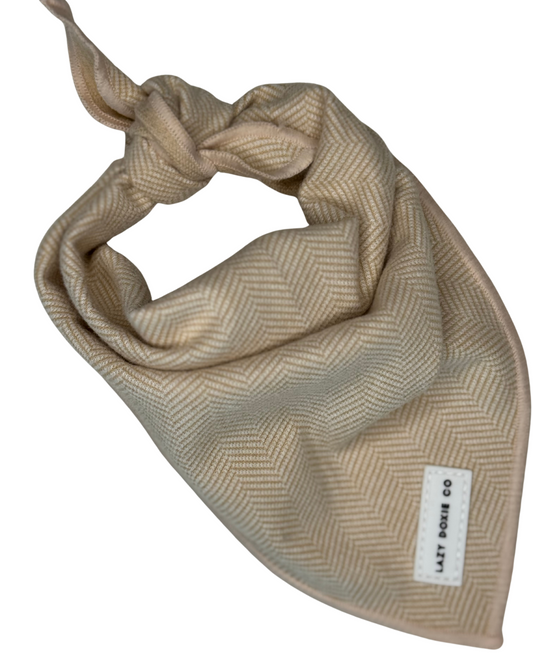 Bandana - Bark de Le Taco