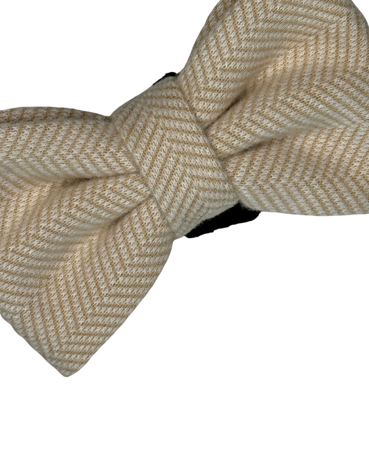 Bows - Bark de Le Taco