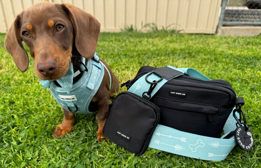 Walking All-Rounder Bag - Pinky Pupwalk