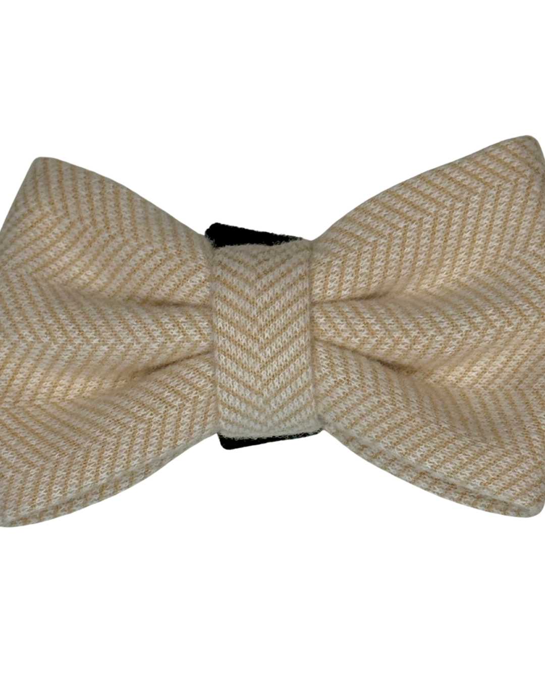 Bows - Bark de Le Taco