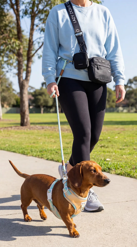 Dog Walking Bags - Lazy Doxie Co