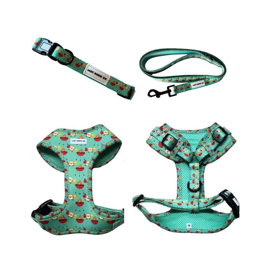 Snag+Go Harness Bundle - Saucy Snags