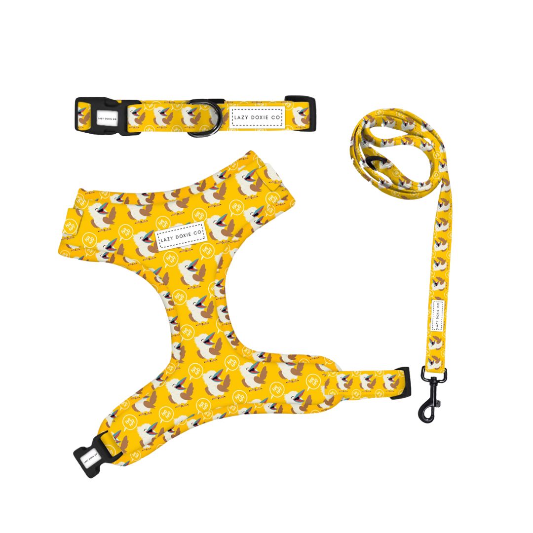 Snag + Go Bundle - Snagaburra