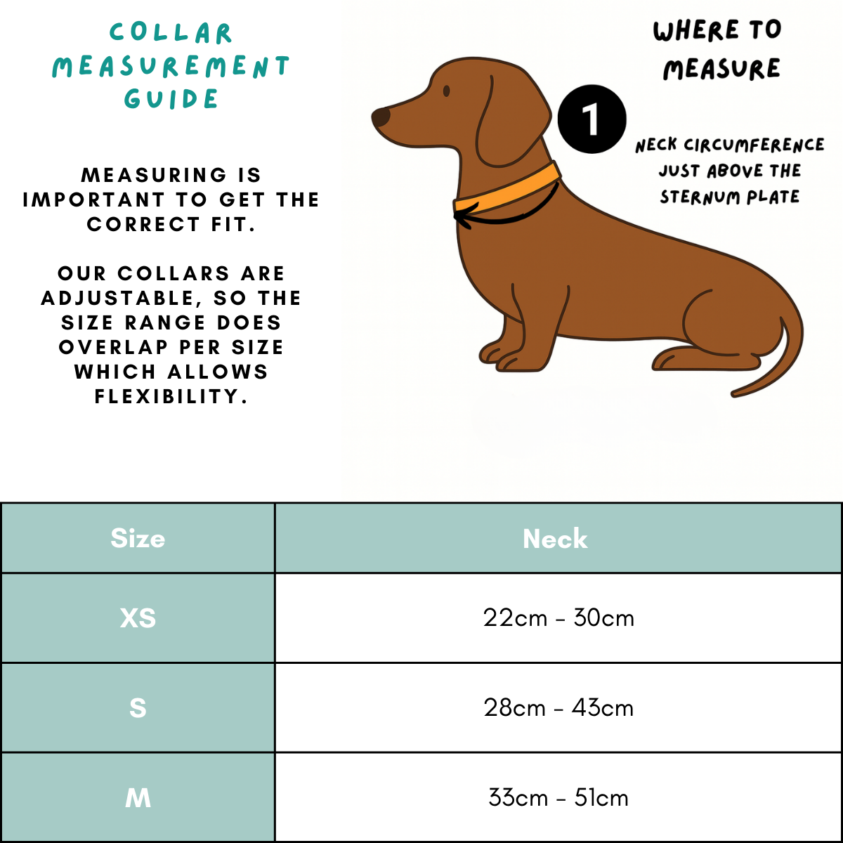 Collar - Mint to Adventure