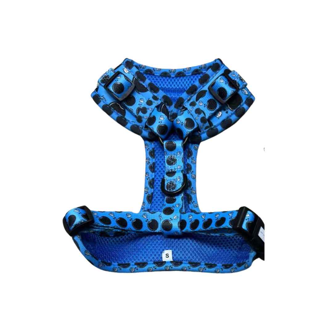 Snag+Go Harness Bundle - Doxie Dunk
