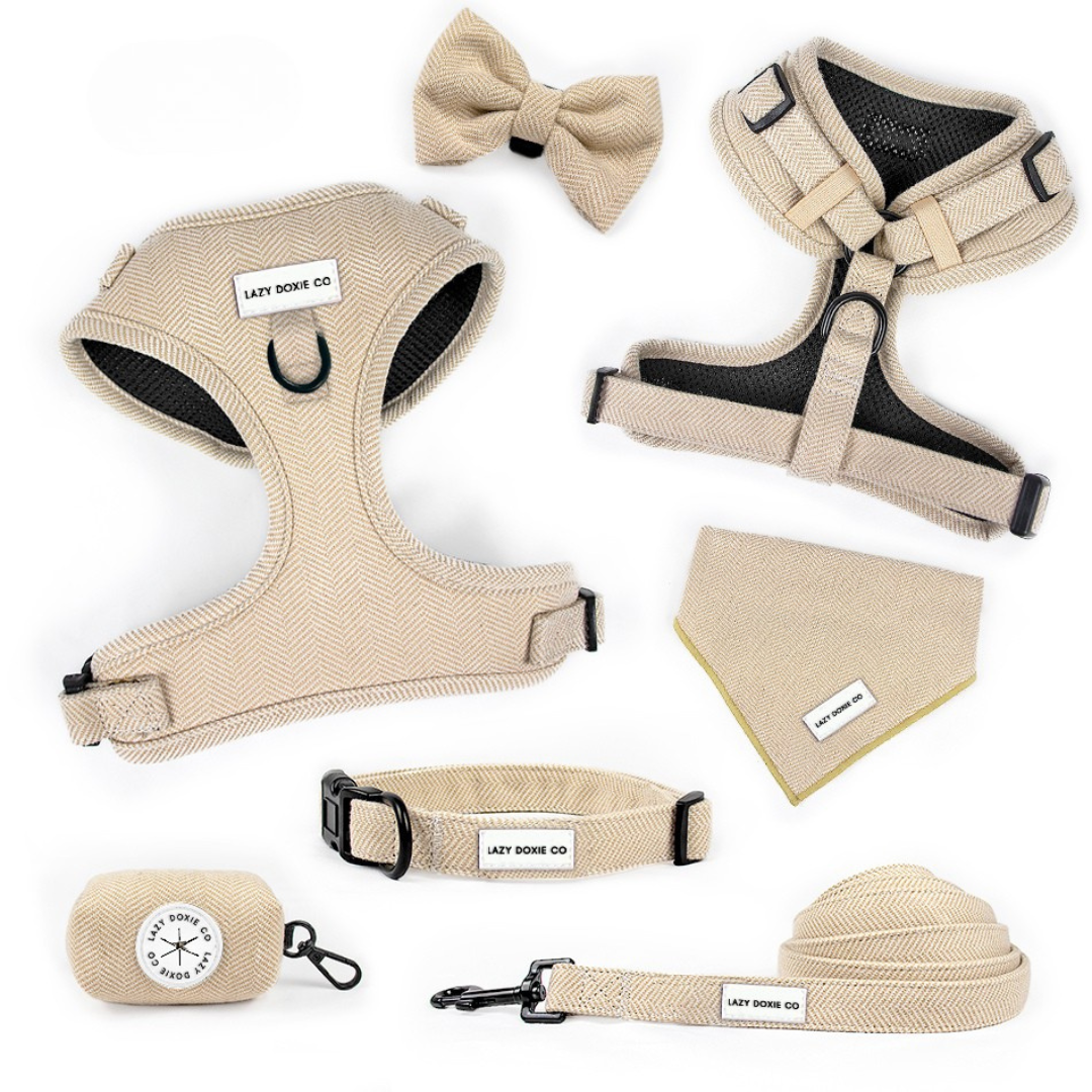 Daily Doxie Bundle - Bark de Le Taco - Lazy Doxie Co