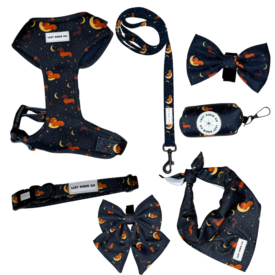 Daily Doxie Harness Bundle - Dashtrology