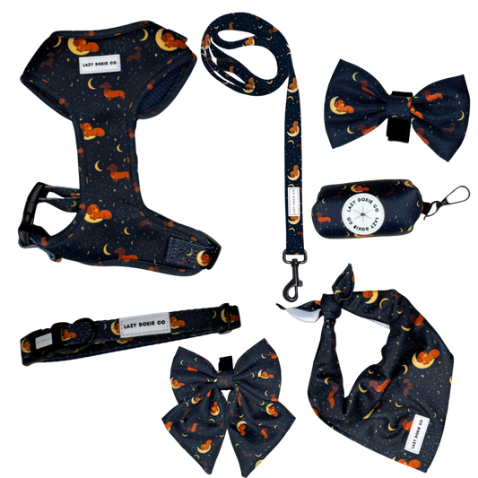 Daily Doxie Harness Bundle - Dashtrology