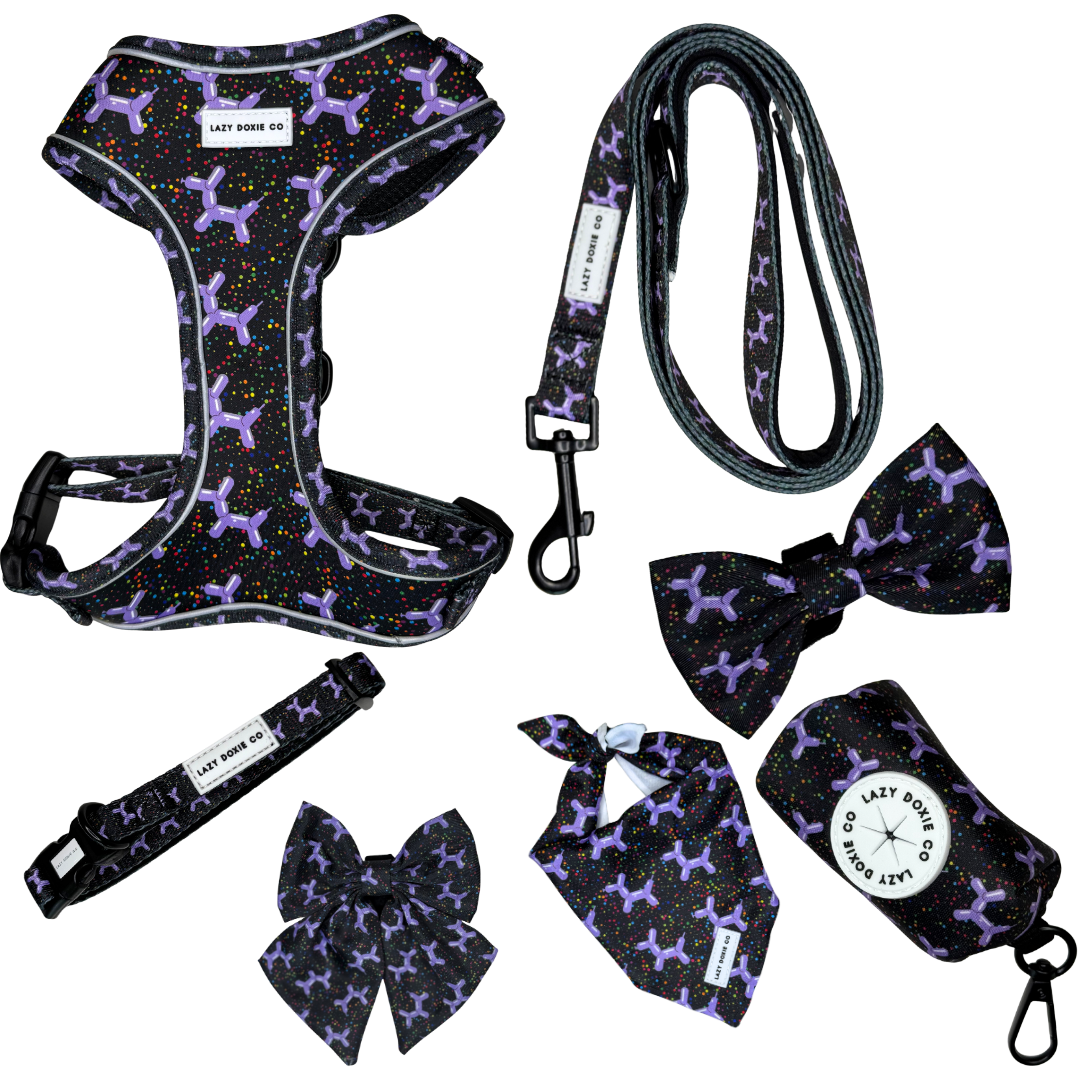 Daily Doxie Bundle - Let's Pawty - Lazy Doxie Co