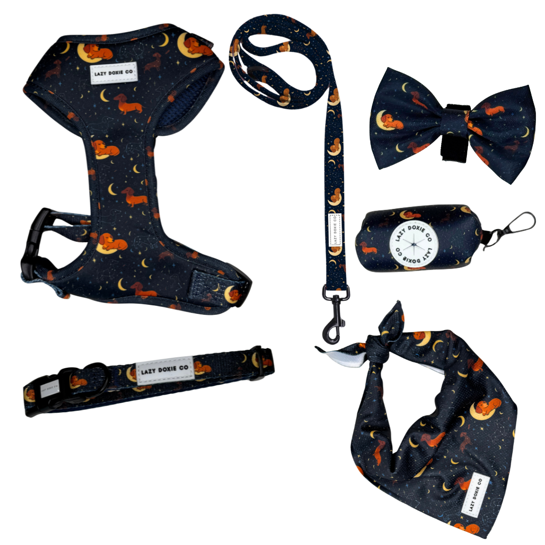 Daily Doxie Harness Bundle - Dashtrology