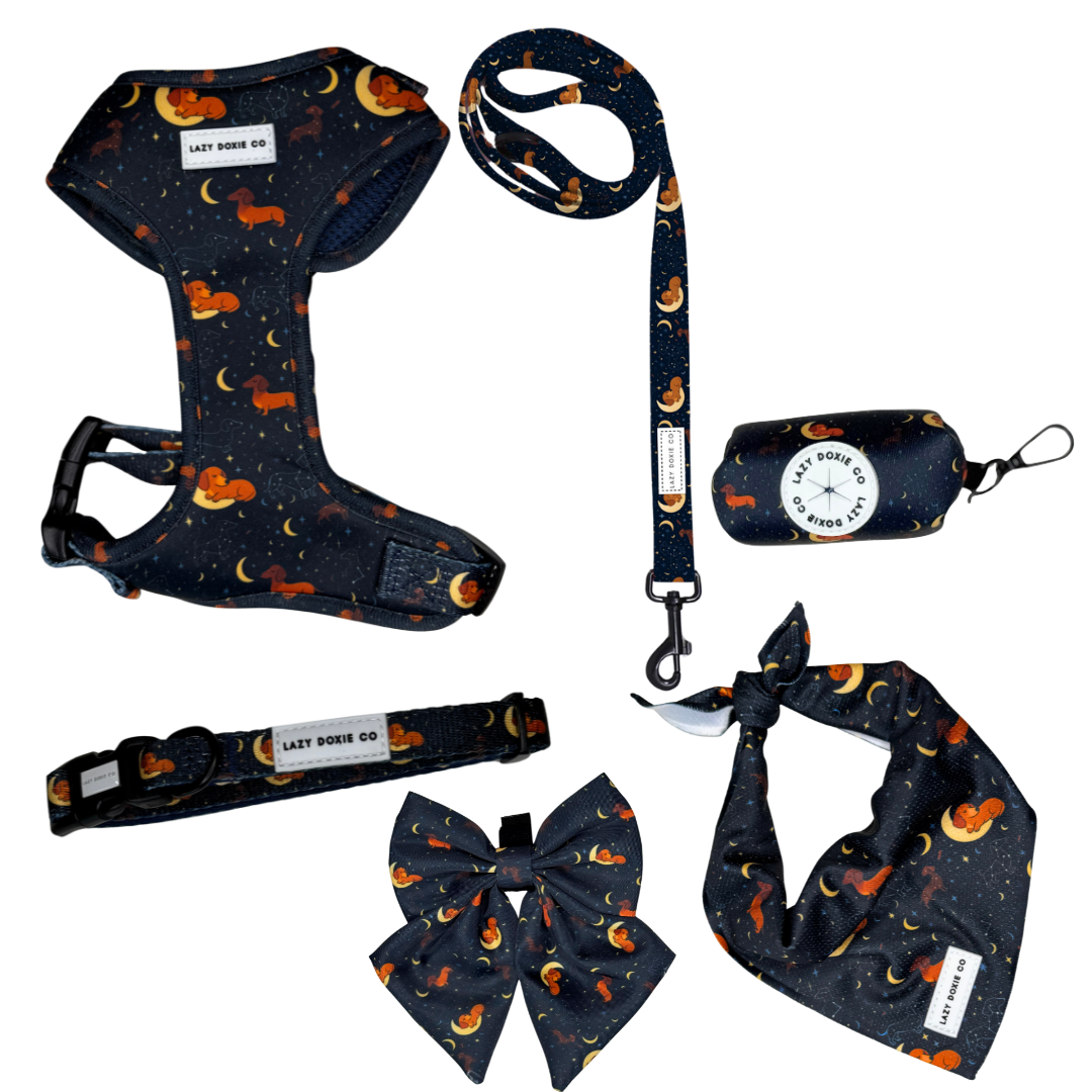 Daily Doxie Harness Bundle - Dashtrology
