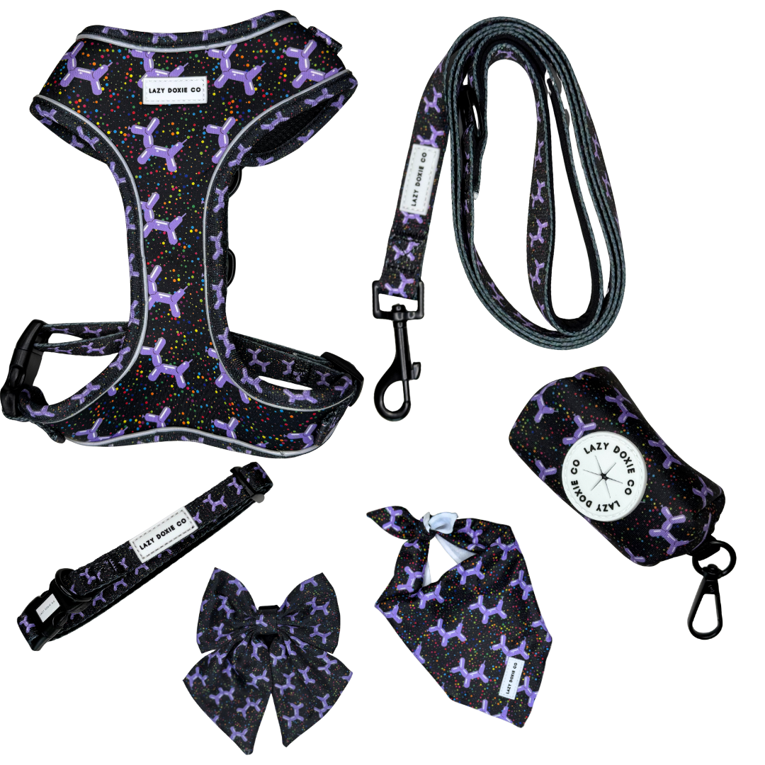 Daily Doxie Bundle - Let's Pawty - Lazy Doxie Co