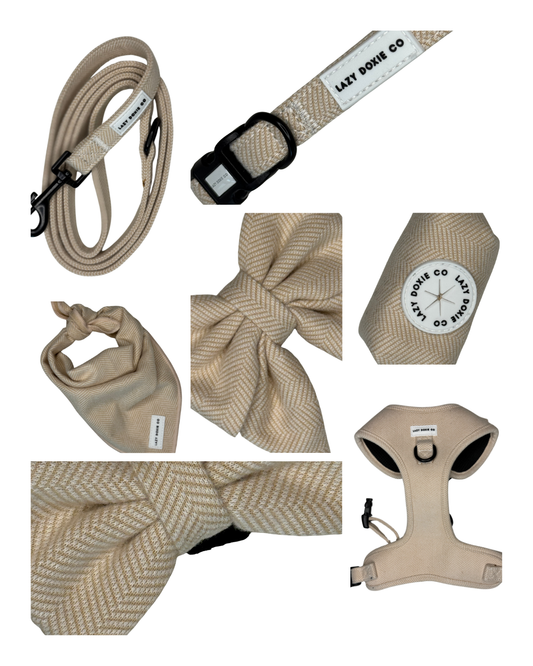 Daily Doxie Bundle - Bark de Le Taco