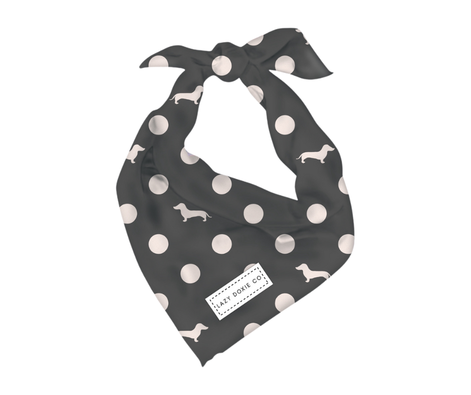 Bandana - 'Dash 'n' Dots'