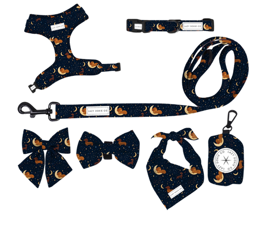 Daily Doxie Bundle - Dashtrology