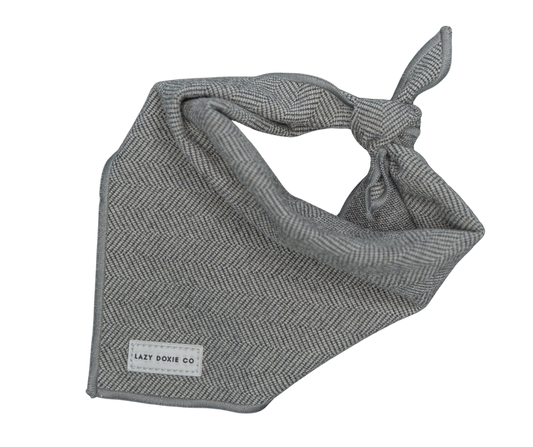 Daily Doxie Bundle - Daxedo Noir