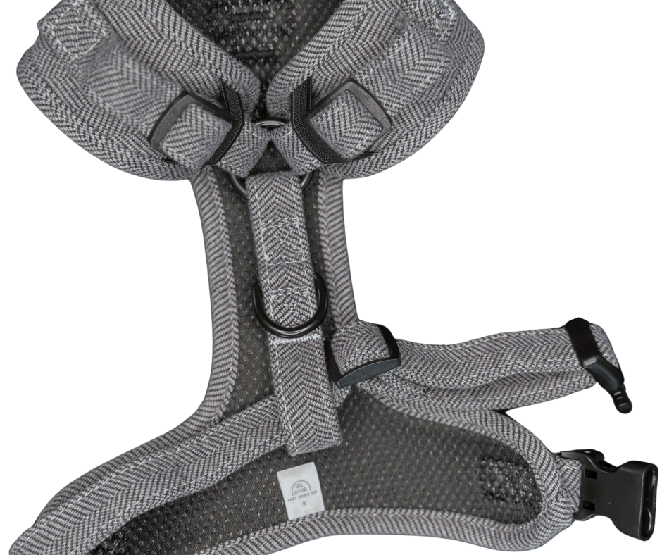 Snag + Go Bundle - Daxedo Noir