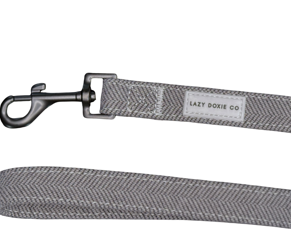 Snag + Go Bundle - Daxedo Noir