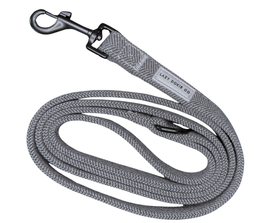 Snag + Go Bundle - Daxedo Noir