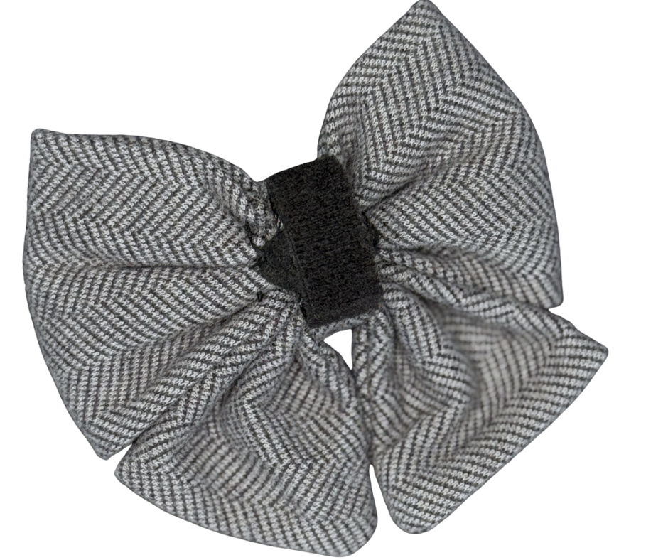 Bows - Daxedo Noir