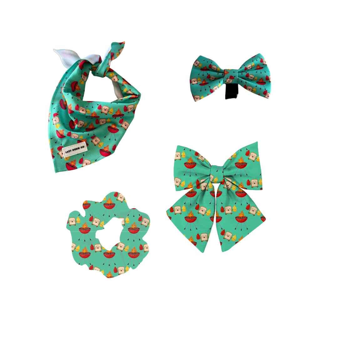 Dress-2-Drool Accessories Bundle - Saucy Snags