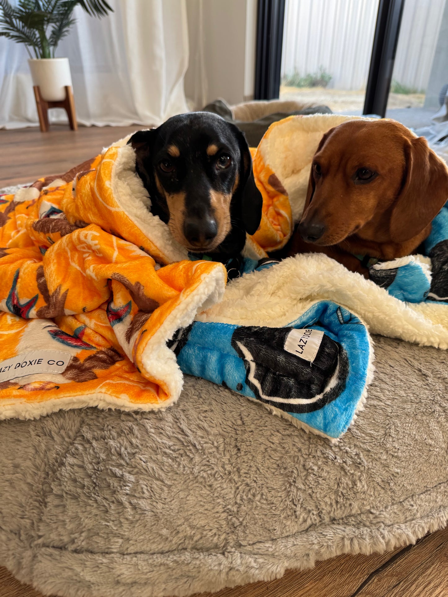 Blanket - Snagaburra - Lazy Doxie Co