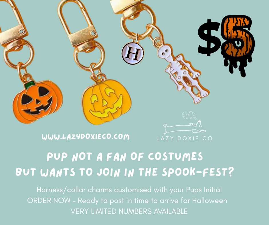 Halloween Harness/Collar Charms