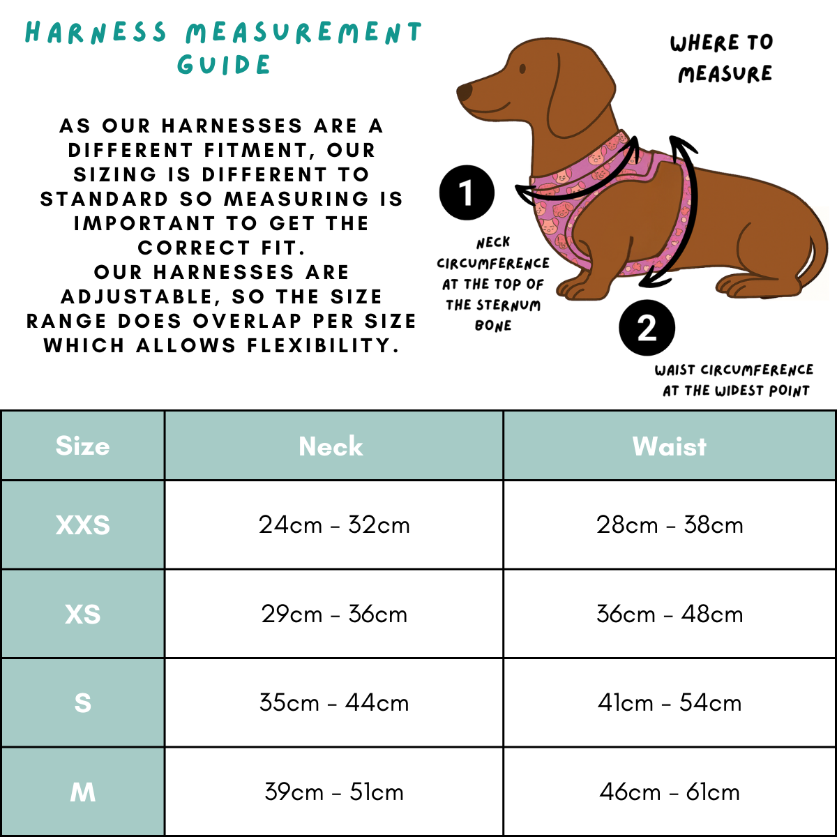 Harness - Doxie Dunk