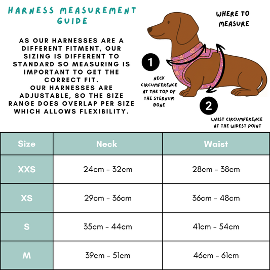 Daily Doxie Bundle - Hound De Sage