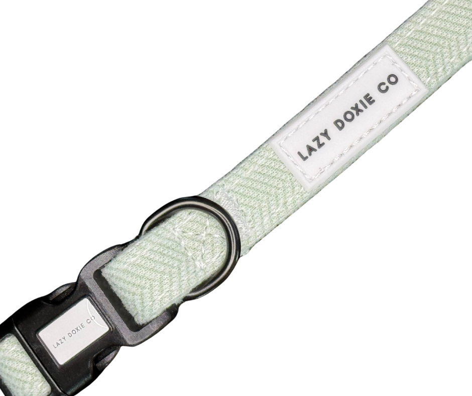 Collar - Hound de Sage