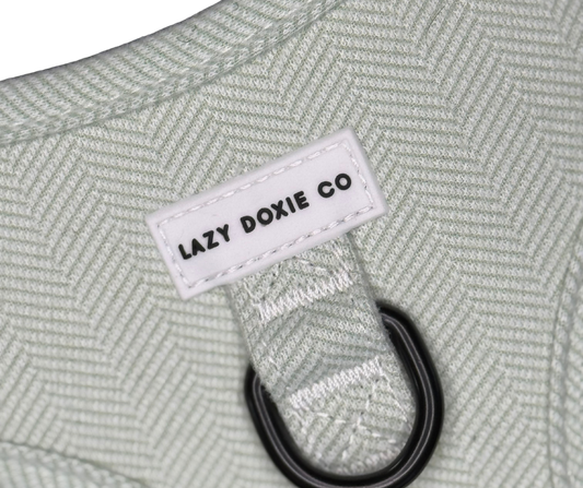 Daily Doxie Bundle - Hound De Sage