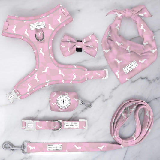 Snag + Go Bundle - Pinky Pupwalk