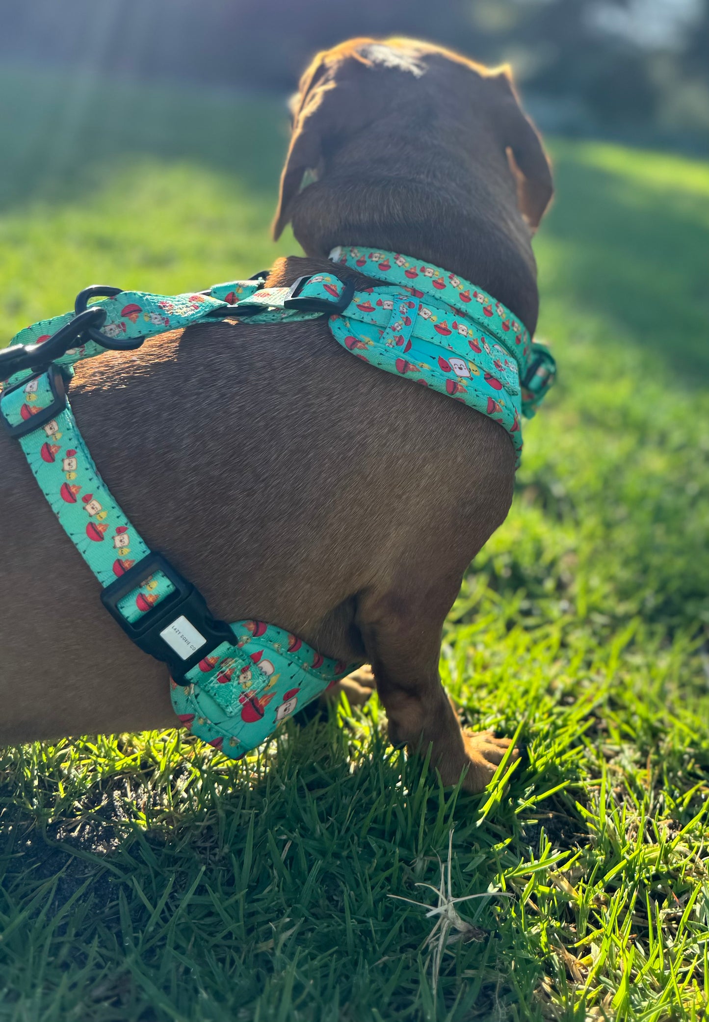 Collar - Saucy Snags - Lazy Doxie Co