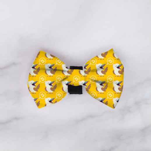 Dapper Doxie Bow Tie Bundle