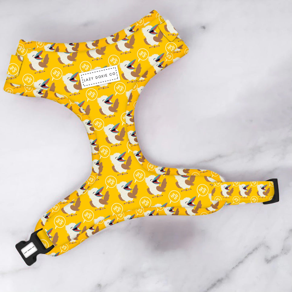 Snag + Go Bundle - Snagaburra