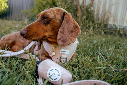 Poop Bag Holder - Bark de Le Taco
