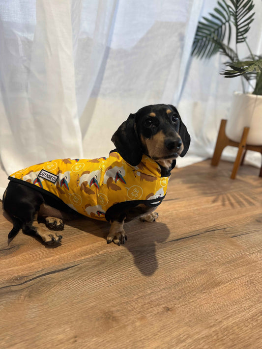 Waterproof Dachshund Jackets - Snagaburra