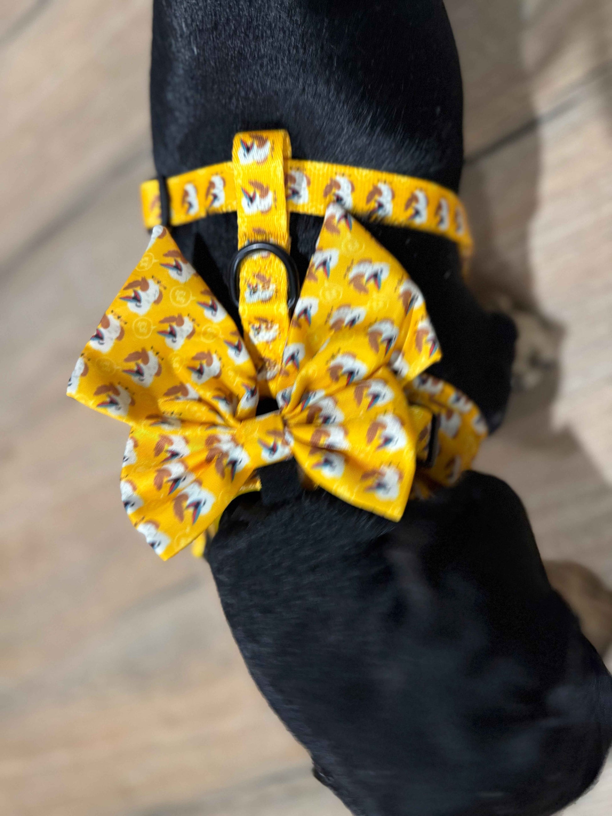 Snags Ahoy! Sailor Bow Bundle