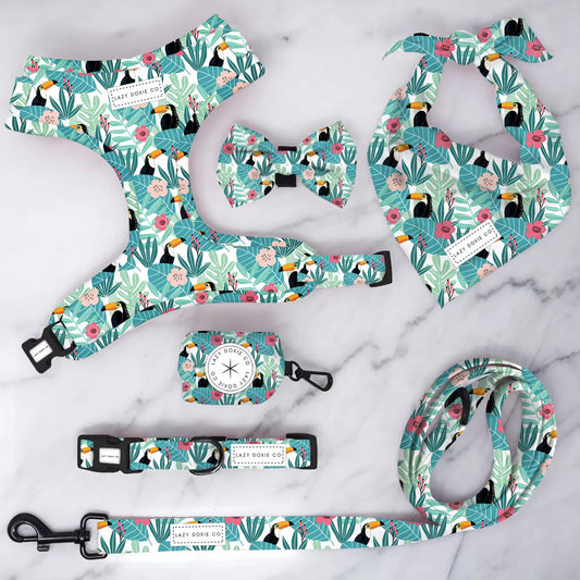 Snag + Go Bundle - Doxiecana